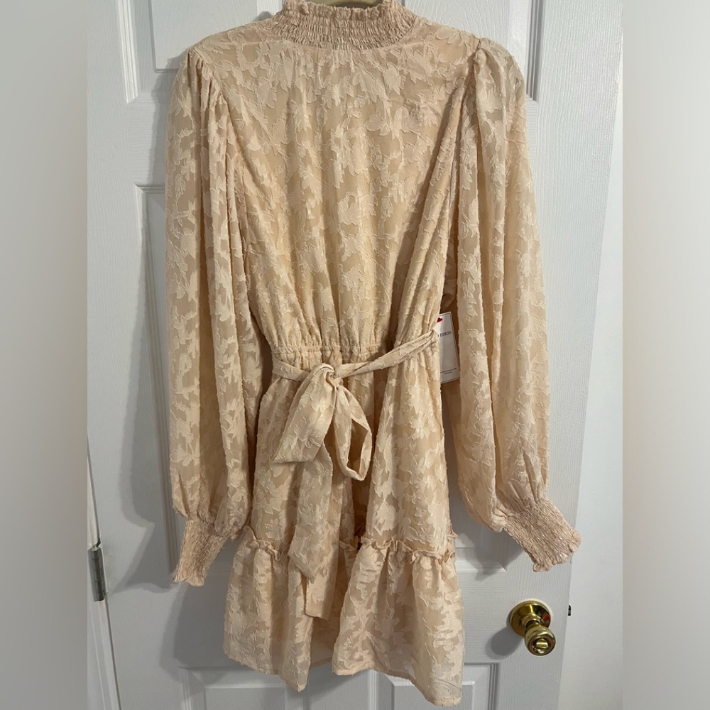 NWT Aura Dress